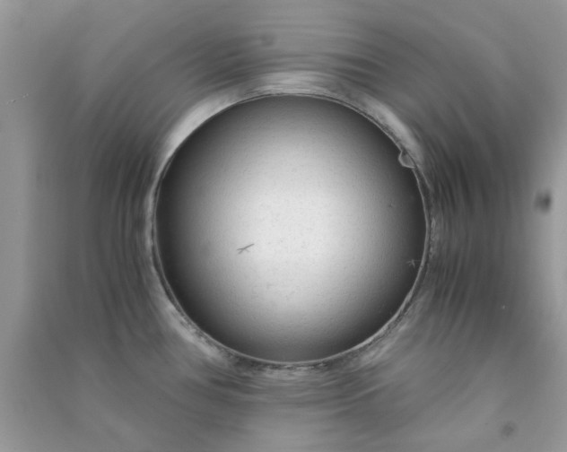 X0000091011386200708161949