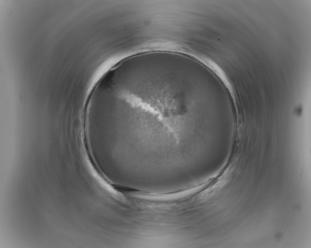 X0000091011389200708161949
