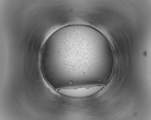X0000091011390200708161949