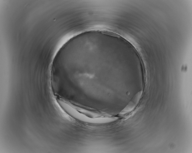 X0000091011392200708161949