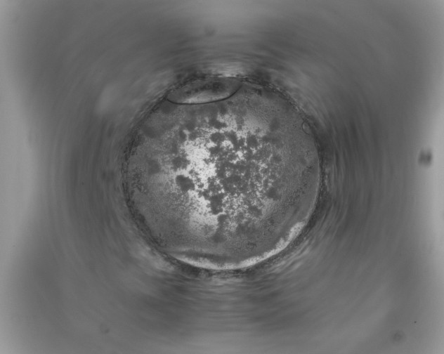 X0000091011393200708161949