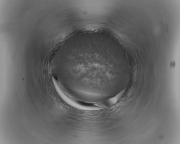 X0000091011394200708161949
