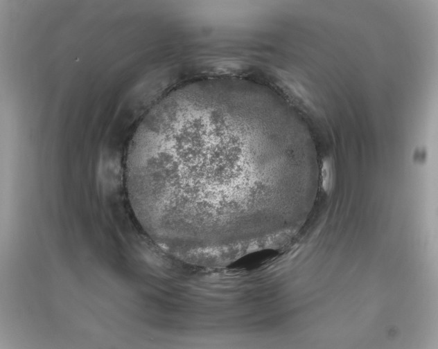 X0000091011395200708161949