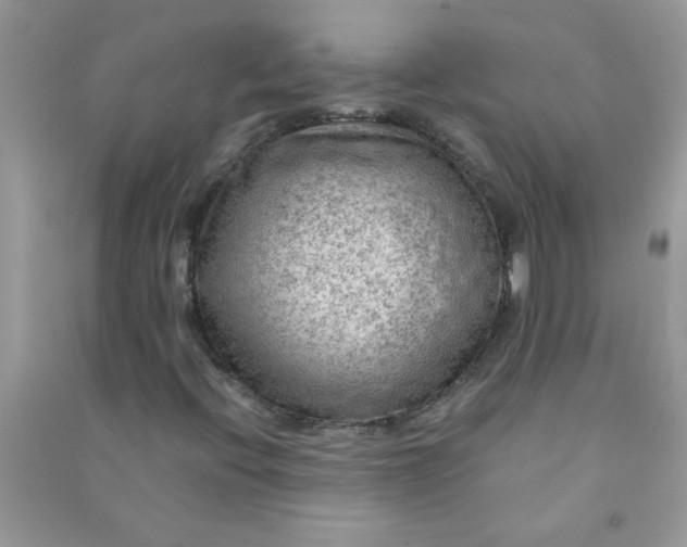 X0000091011396200708161949