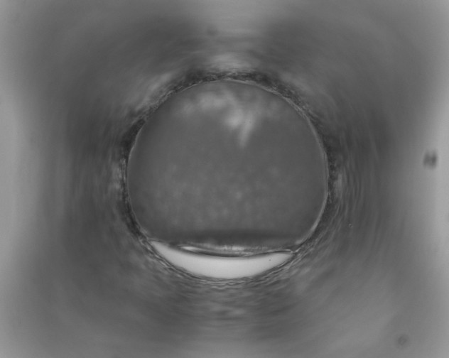 X0000091011397200708161949