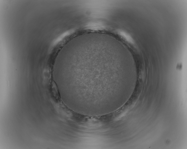 X0000091011398200708161949
