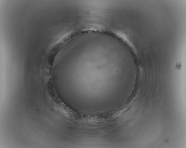 X0000091011399200708161949