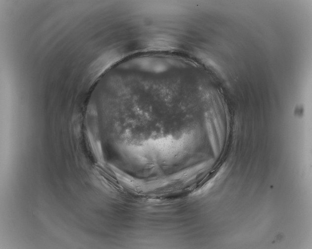 X0000091011401200708161949