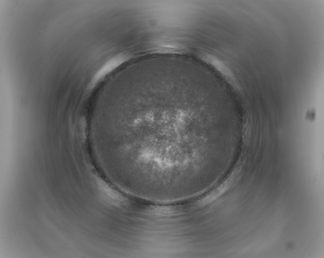 X0000091011402200708161949