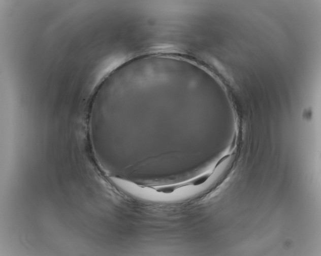 X0000091011405200708161949