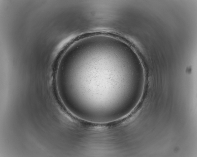 X0000091011406200708161949