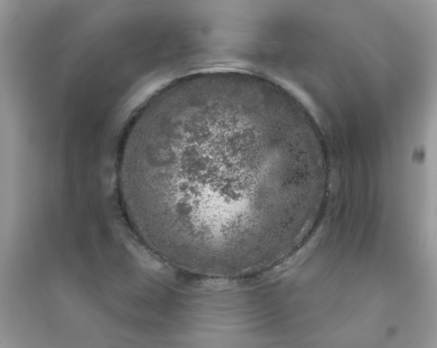 X0000091011407200708161949