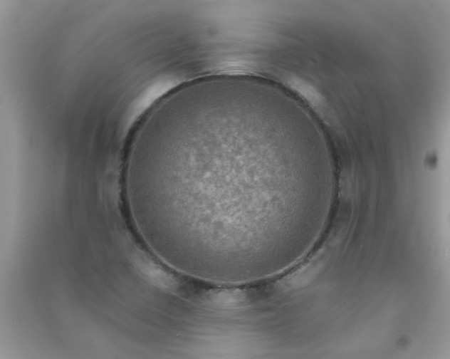 X0000091011410200708161949
