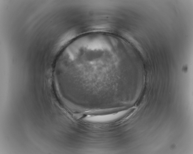 X0000091011411200708161949