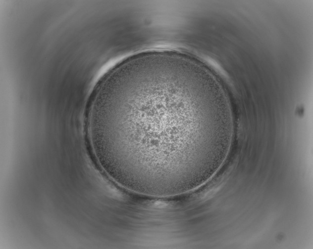X0000091011412200708161949