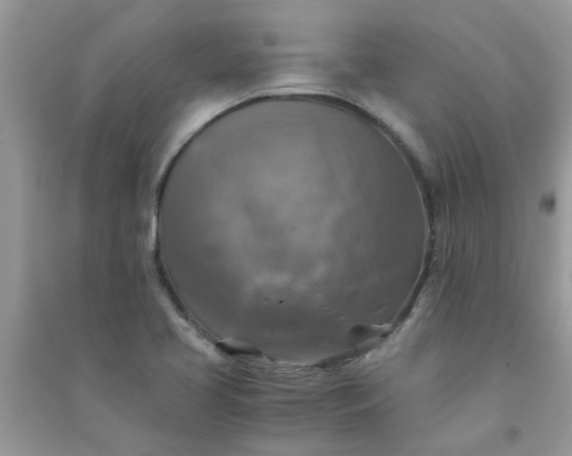 X0000091011413200708161949