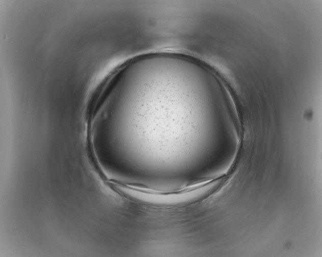 X0000091011414200708161949