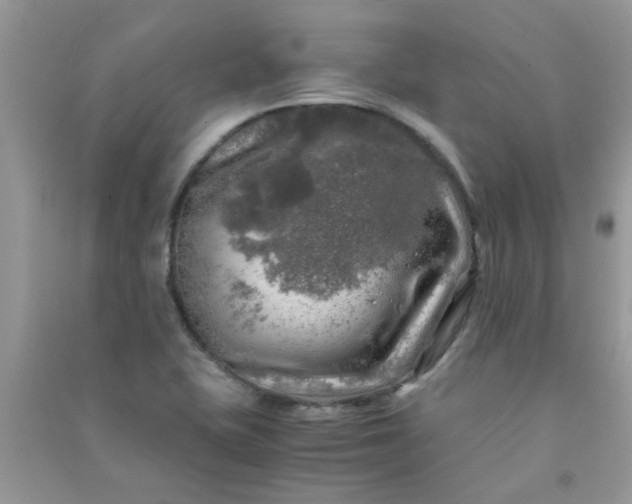 X0000091011415200708161949