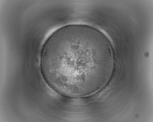 X0000091011416200708161949