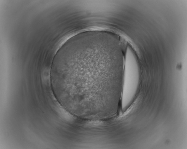 X0000091011417200708161949