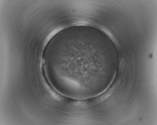 X0000091011418200708161949