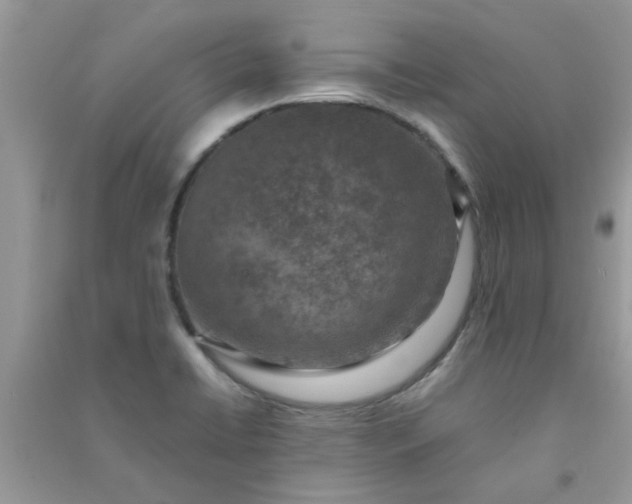 X0000091011422200708161949