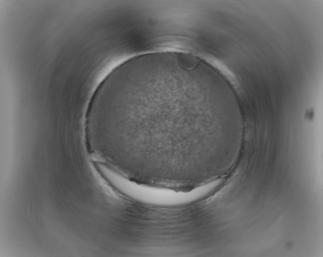 X0000091011423200708161949