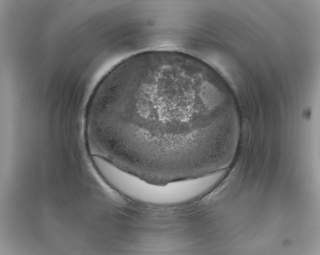 X0000091011424200708161949