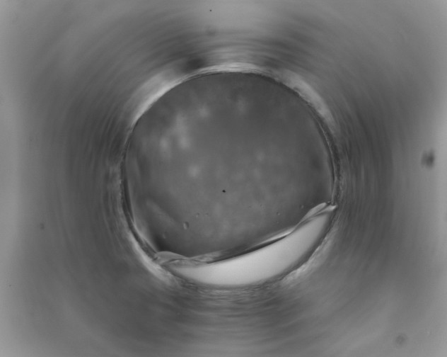 X0000091011425200708161949