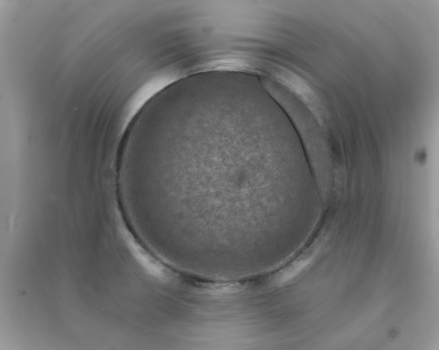 X0000091011426200708161949