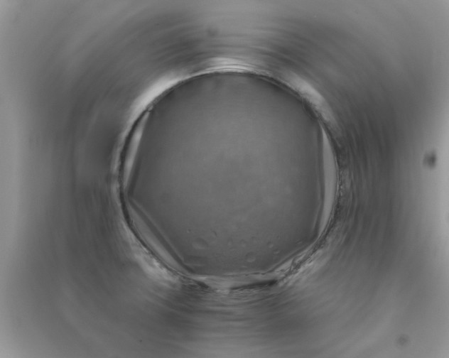 X0000091011427200708161949