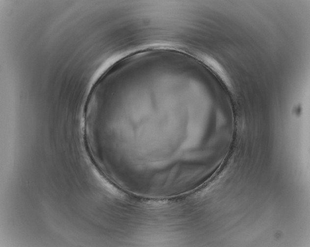 X0000091011428200708161949