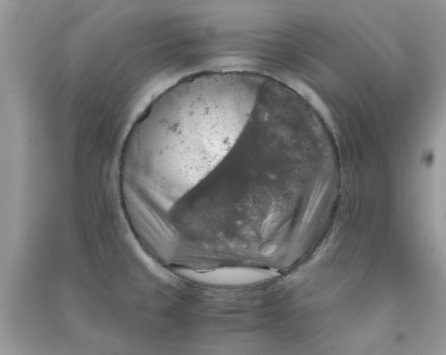 X0000091011429200708161949