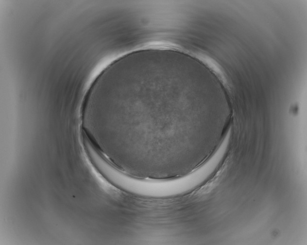 X0000091011430200708161949