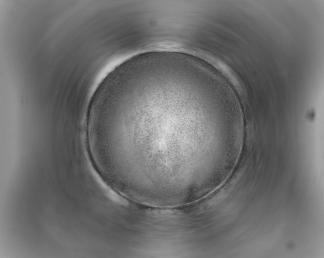 X0000091011432200708161949