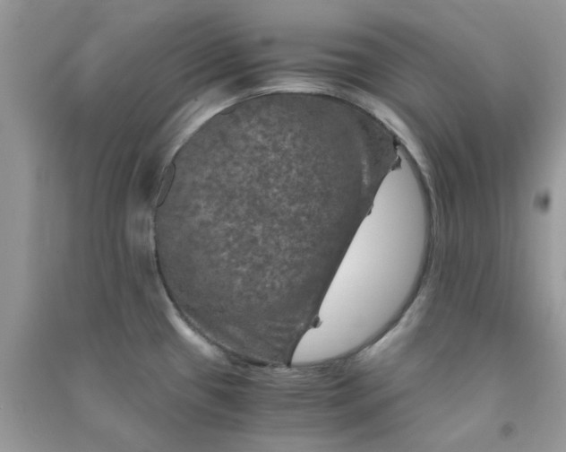 X0000091011433200708161949