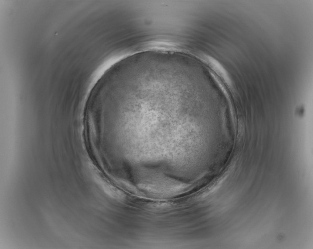 X0000091011435200708161949