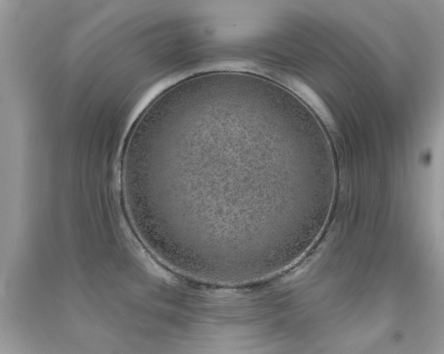 X0000091011436200708161949