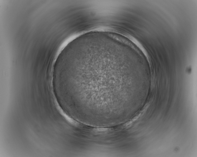 X0000091011437200708161949