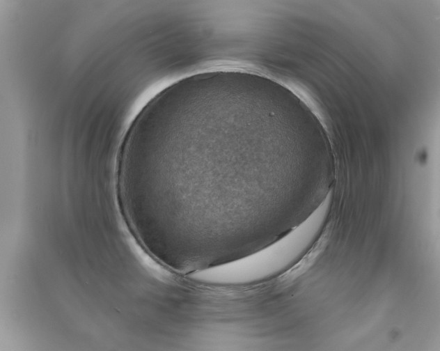 X0000091011438200708161949