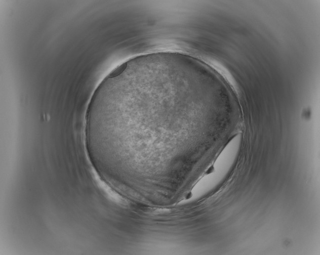 X0000091011439200708161949