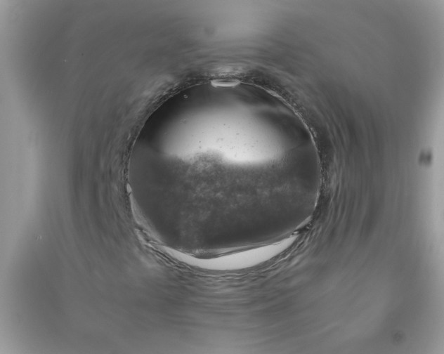X0000091011441200708161949