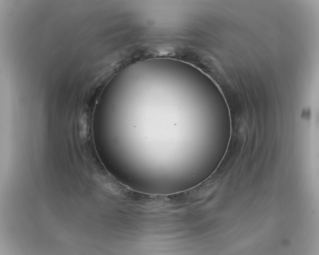 X0000091011442200708161949
