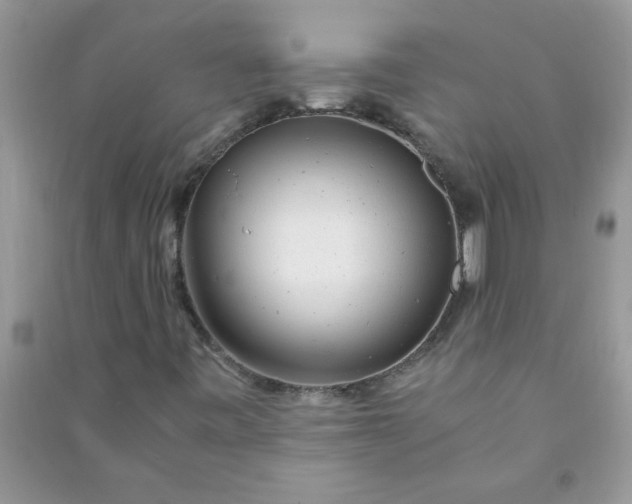 X0000091011443200708161949