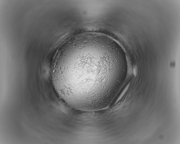 X0000091011444200708161949