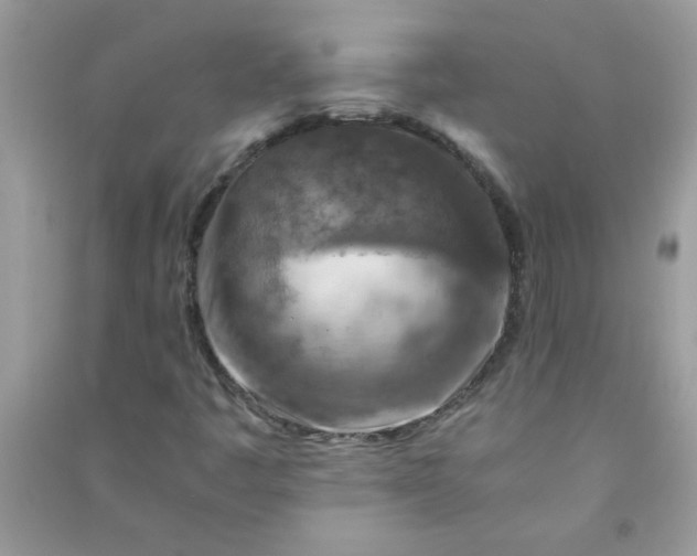 X0000091011445200708161949