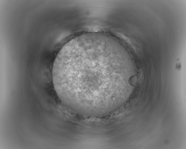 X0000091011446200708161949