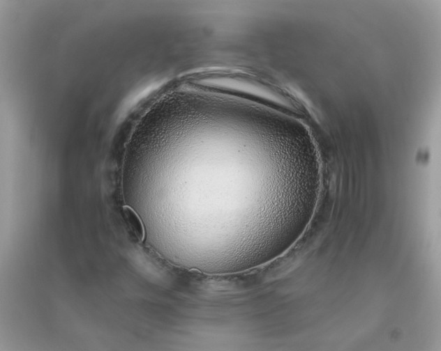 X0000091011448200708161949