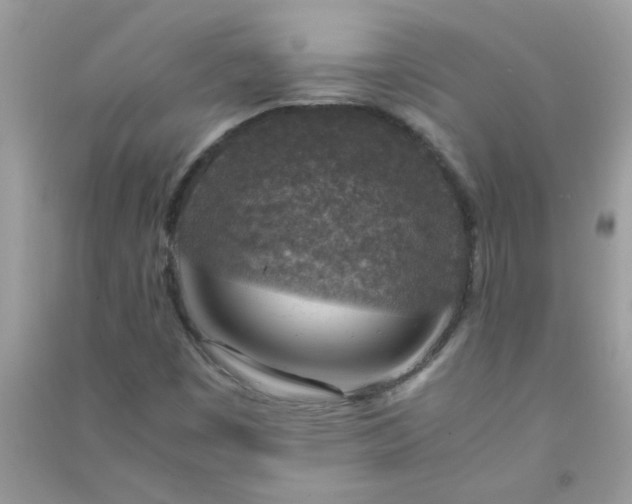 X0000091011449200708161949