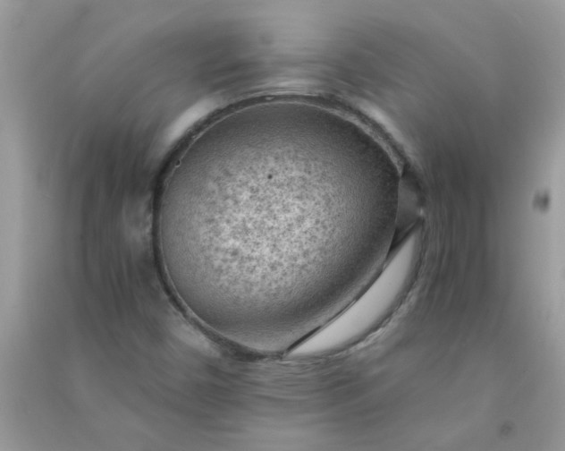 X0000091011450200708161949
